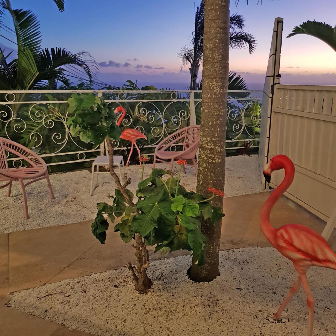 La Boheme, Residence De 5 Appartements Avec Piscine, Vue Ocean, Petite Ile Luaran gambar